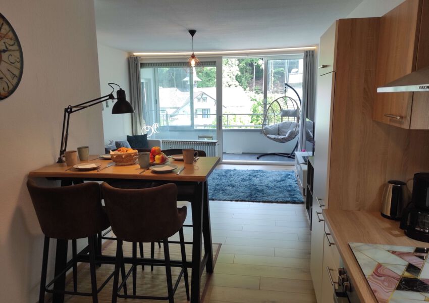 Ferienwohnung HarzHome