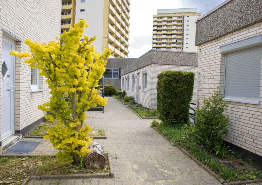 Terrassenhaus 626