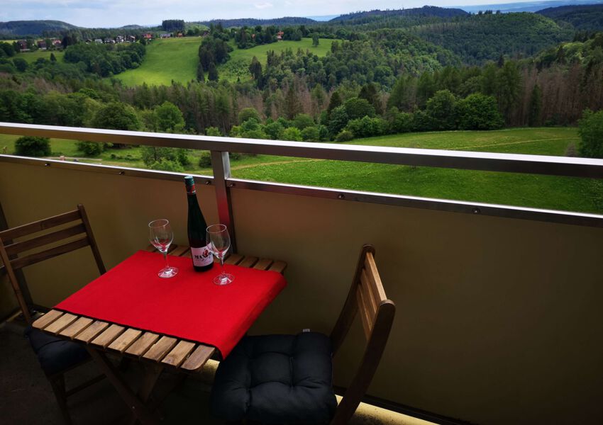 Ferienwohnung Harz Hohegeiß "Blick 14 (565)"