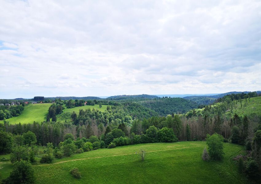 Ferienwohnung Harz Hohegeiß "Blick 14 (565)"