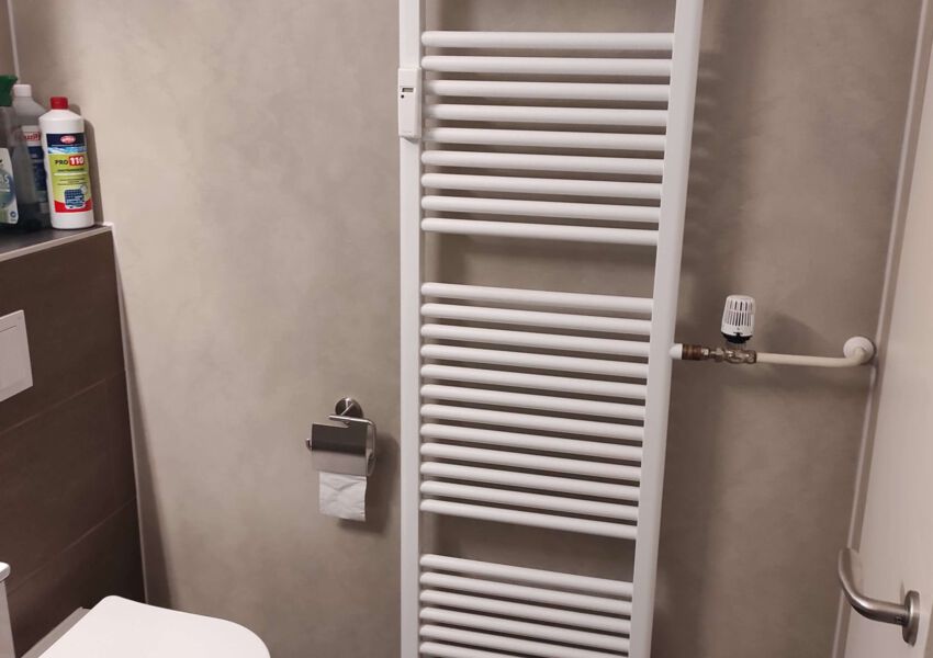 Ferienwohnung Bergwiese 20