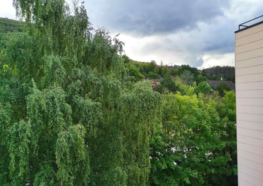 Ferienwohnung Waldwiese