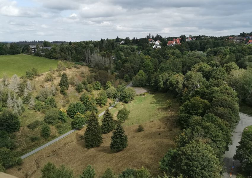 Fewo Harz Hohegeiß App 569