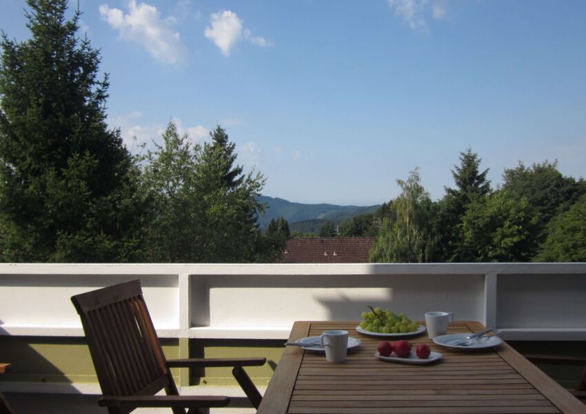 Ferienwohnung 11 mit Aussicht und Kamin