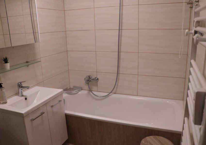 Ferienwohnung Harz Hohegeiß App 424