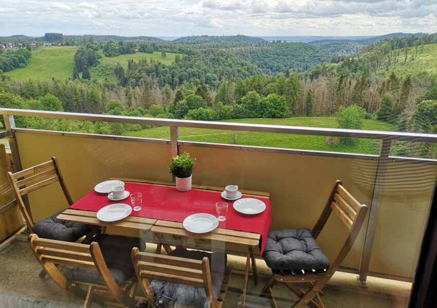 Ferienwohnung Harz Hohegeiß "Blick 14 (565)"