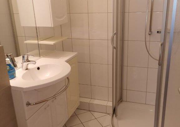 Fewo Harz Hohegeiß App 569