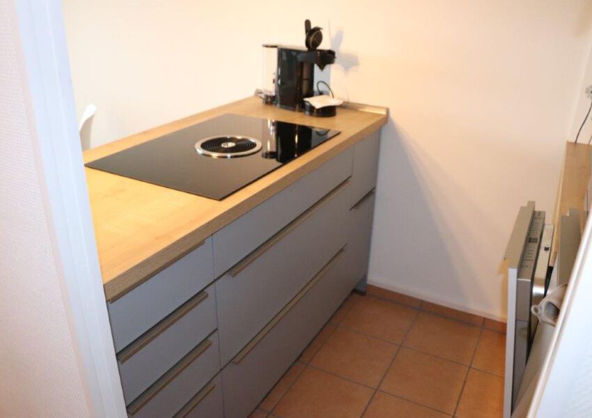 Ferienwohnung Harz Hohegeiß App 424