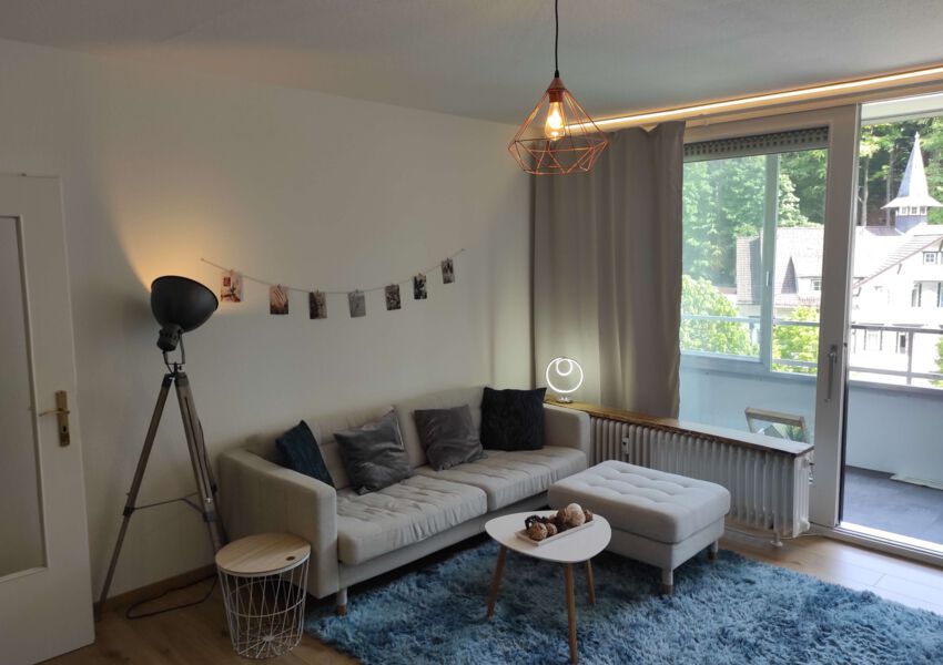 Ferienwohnung HarzHome