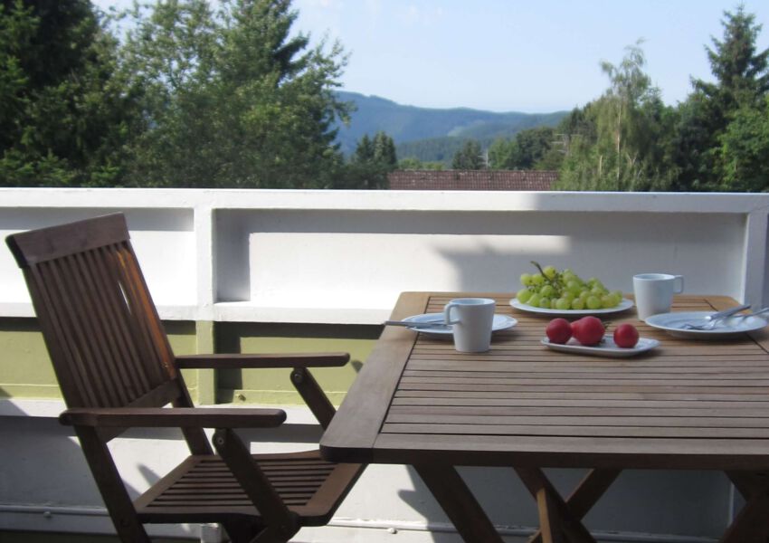 Ferienwohnung 11 mit Aussicht und Kamin