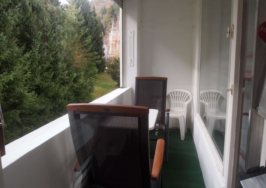 Ferienwohnung HarZBurg